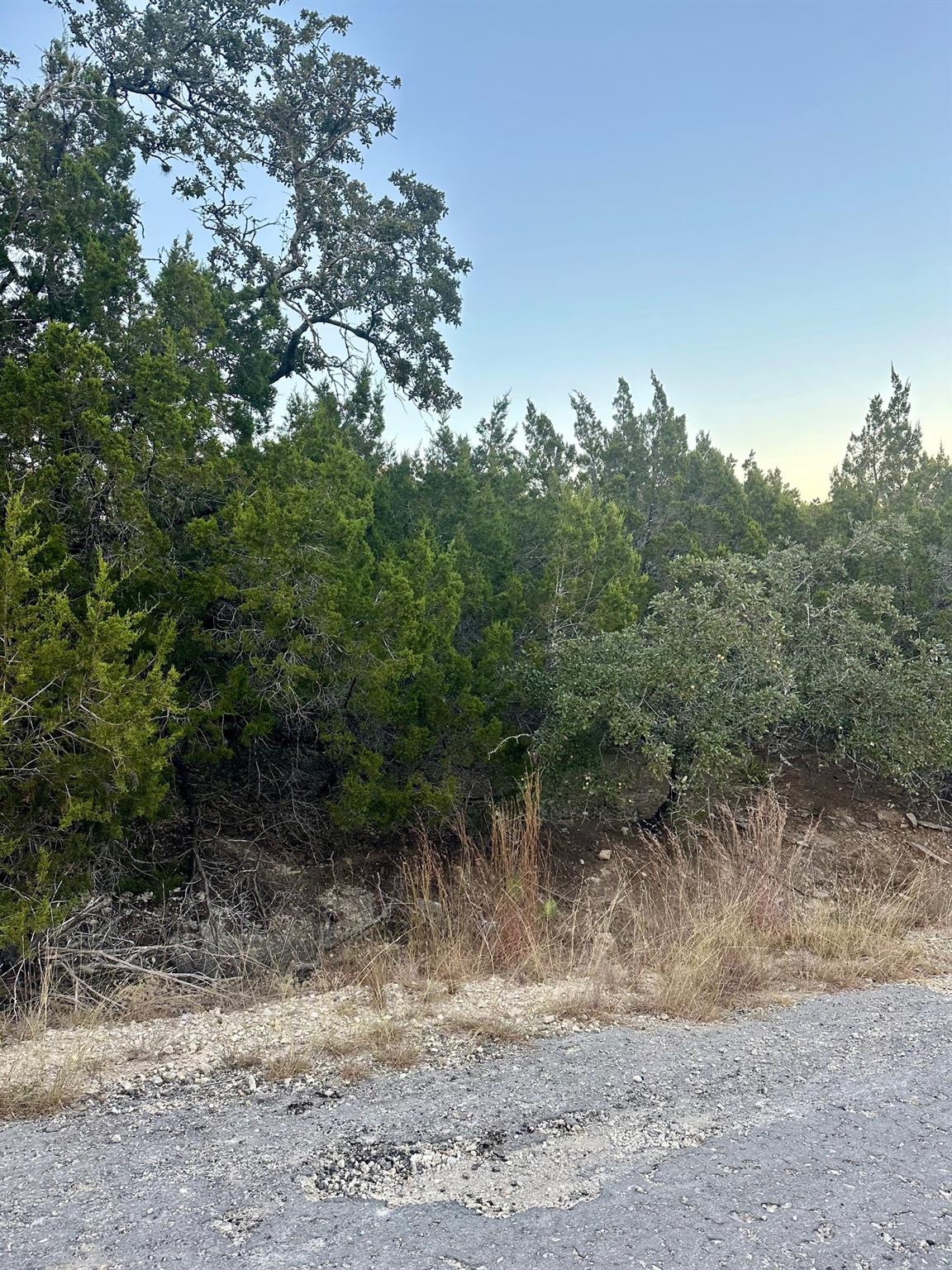 21106 Needles Cv, Lago Vista, TX 78645