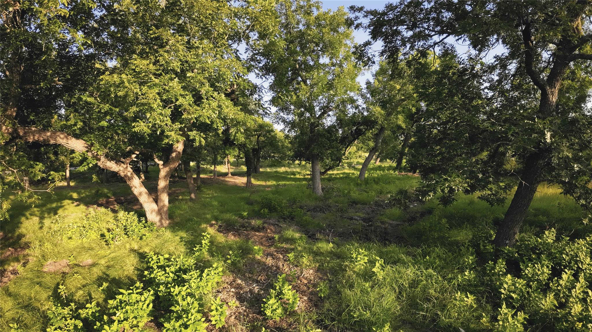 0 Loudon Rd, Fredericksburg, TX 78624