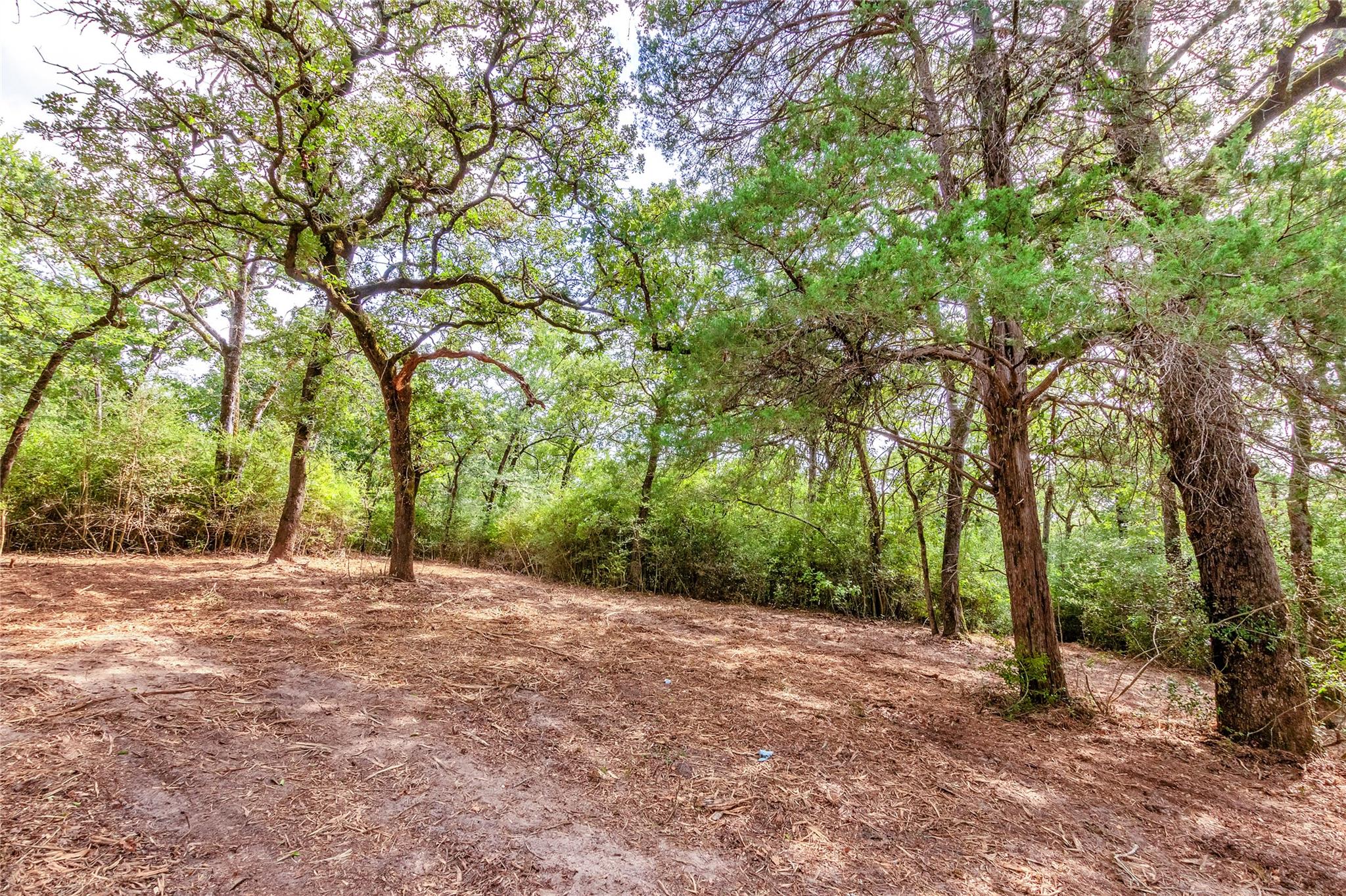 1004 22 Hills Rd, Gause, TX 77857