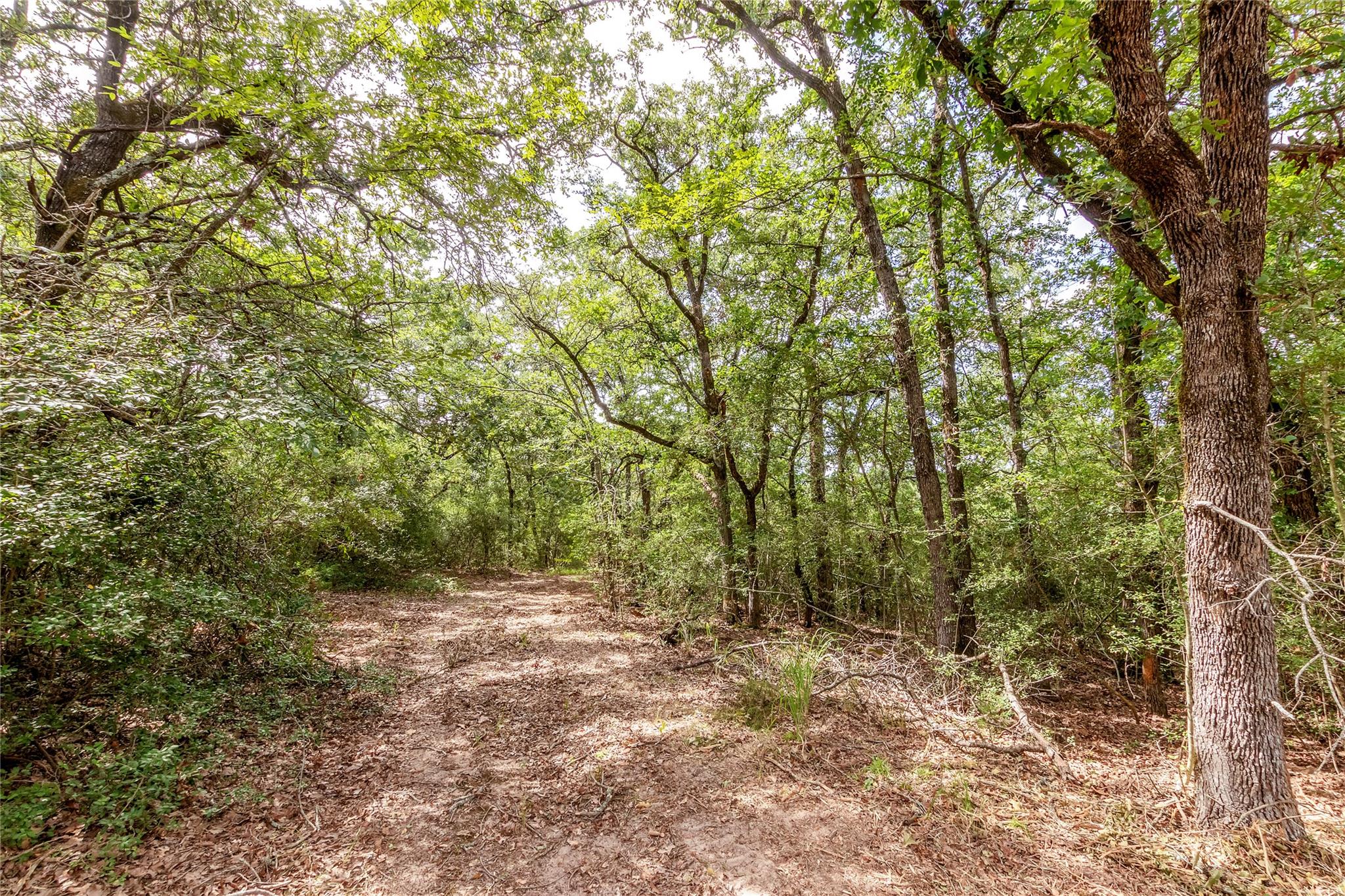 1004 22 Hills Rd, Gause, TX 77857