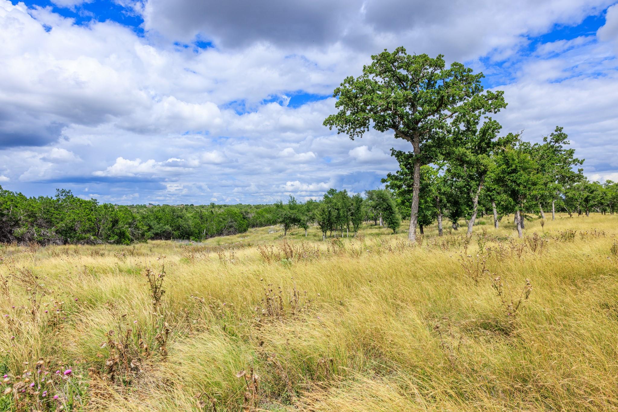 0 Friedrich Rd, Fredericksburg, TX 78624