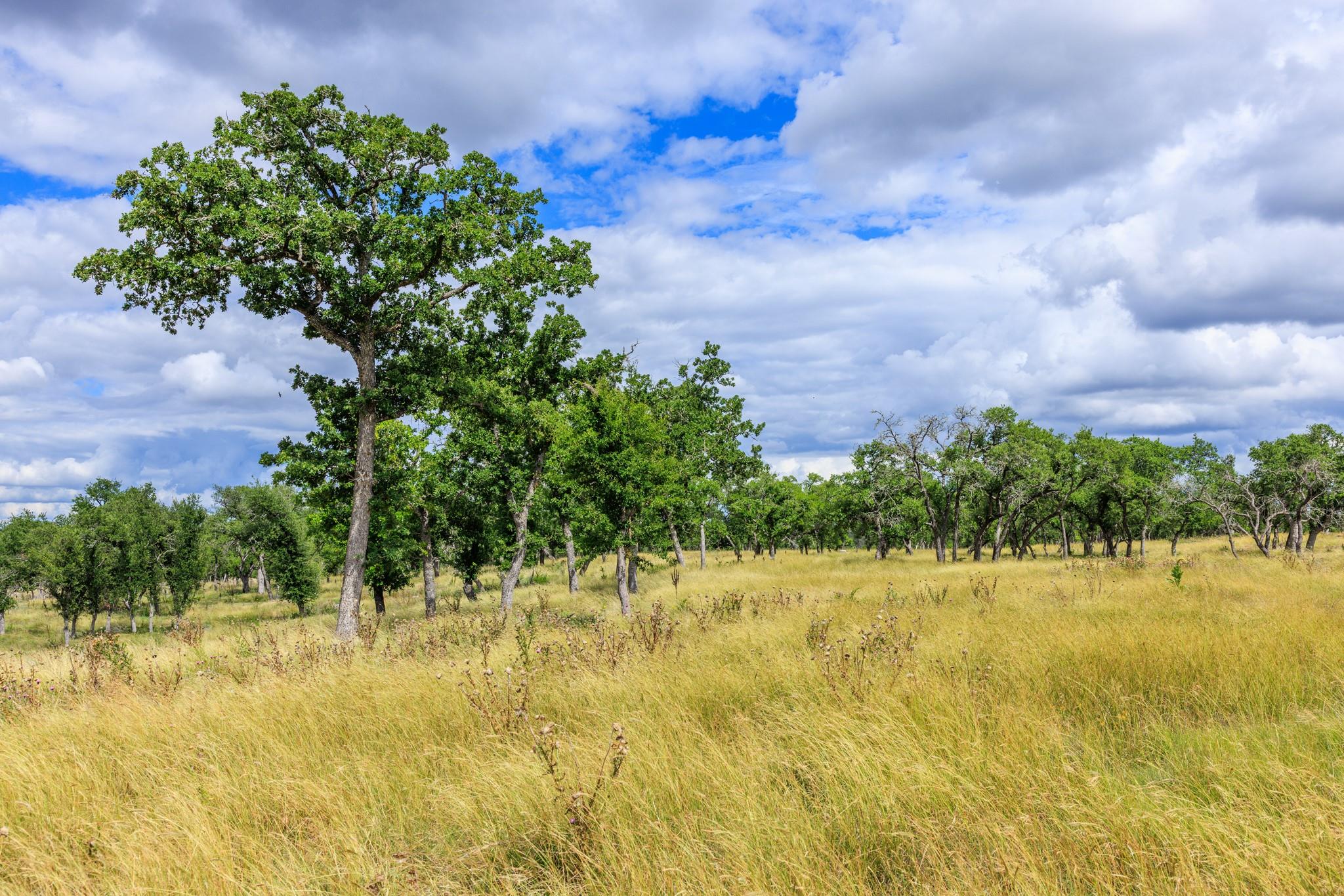 0 Friedrich Rd, Fredericksburg, TX 78624