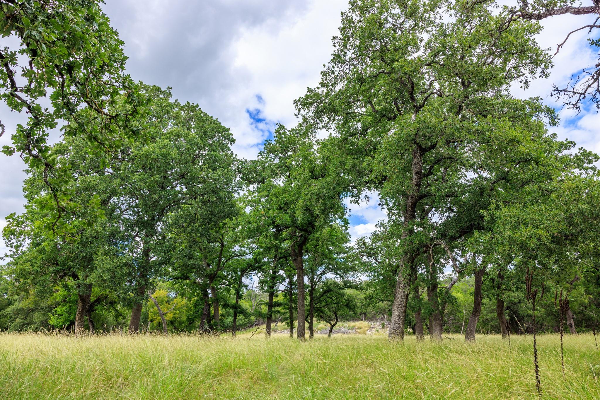 0 Friedrich Rd, Fredericksburg, TX 78624