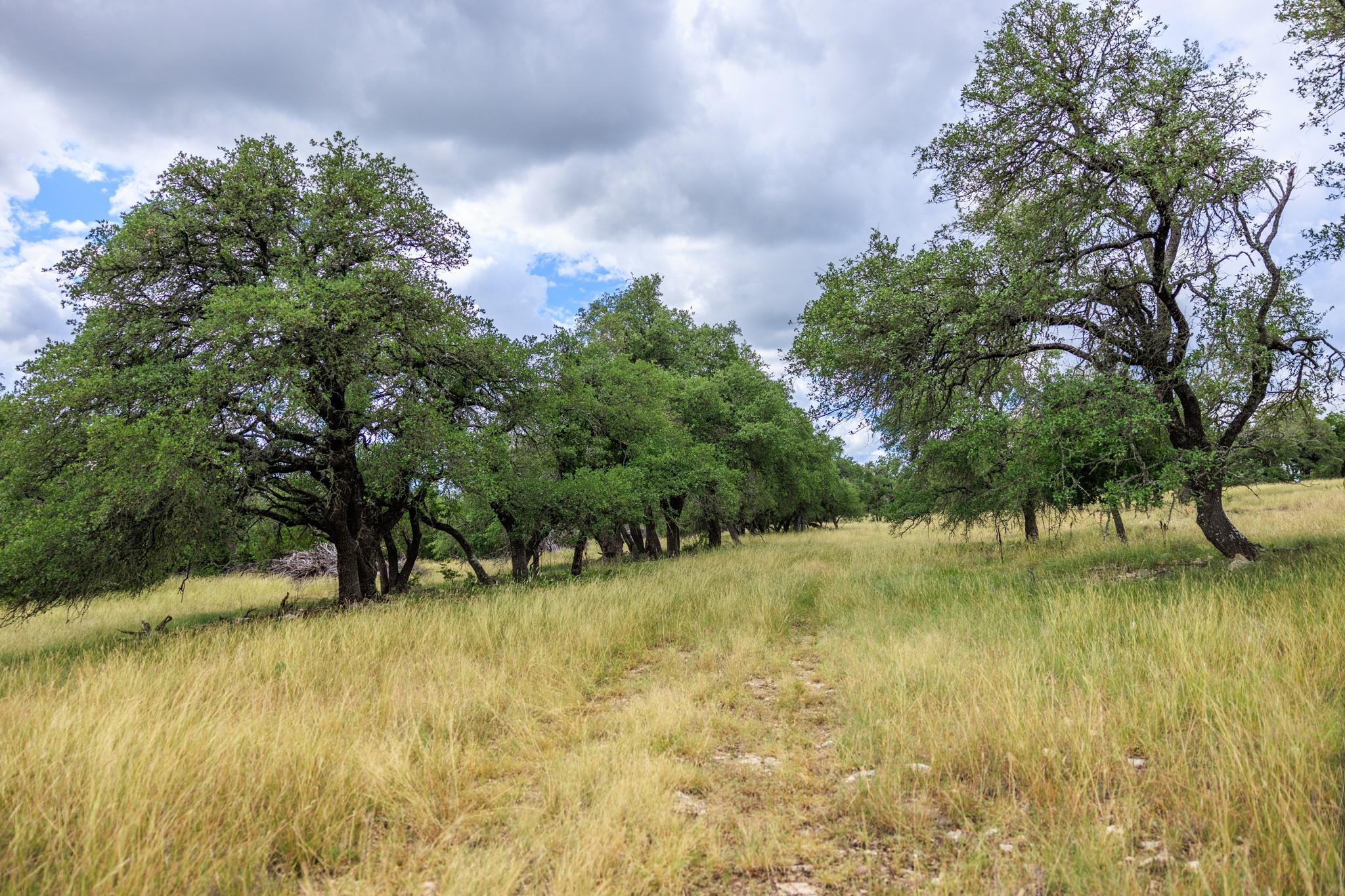 0 Friedrich Rd, Fredericksburg, TX 78624