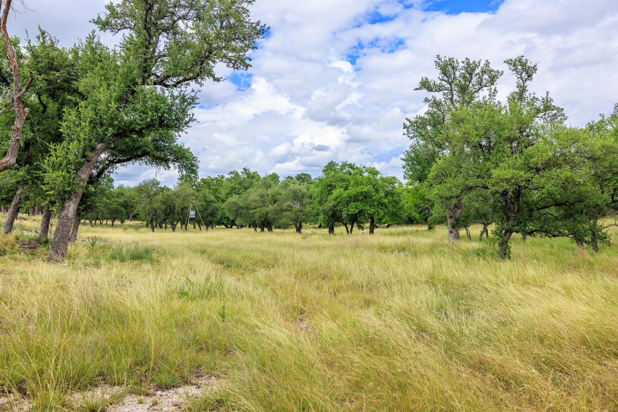 0 Friedrich Rd, Fredericksburg, TX 78624