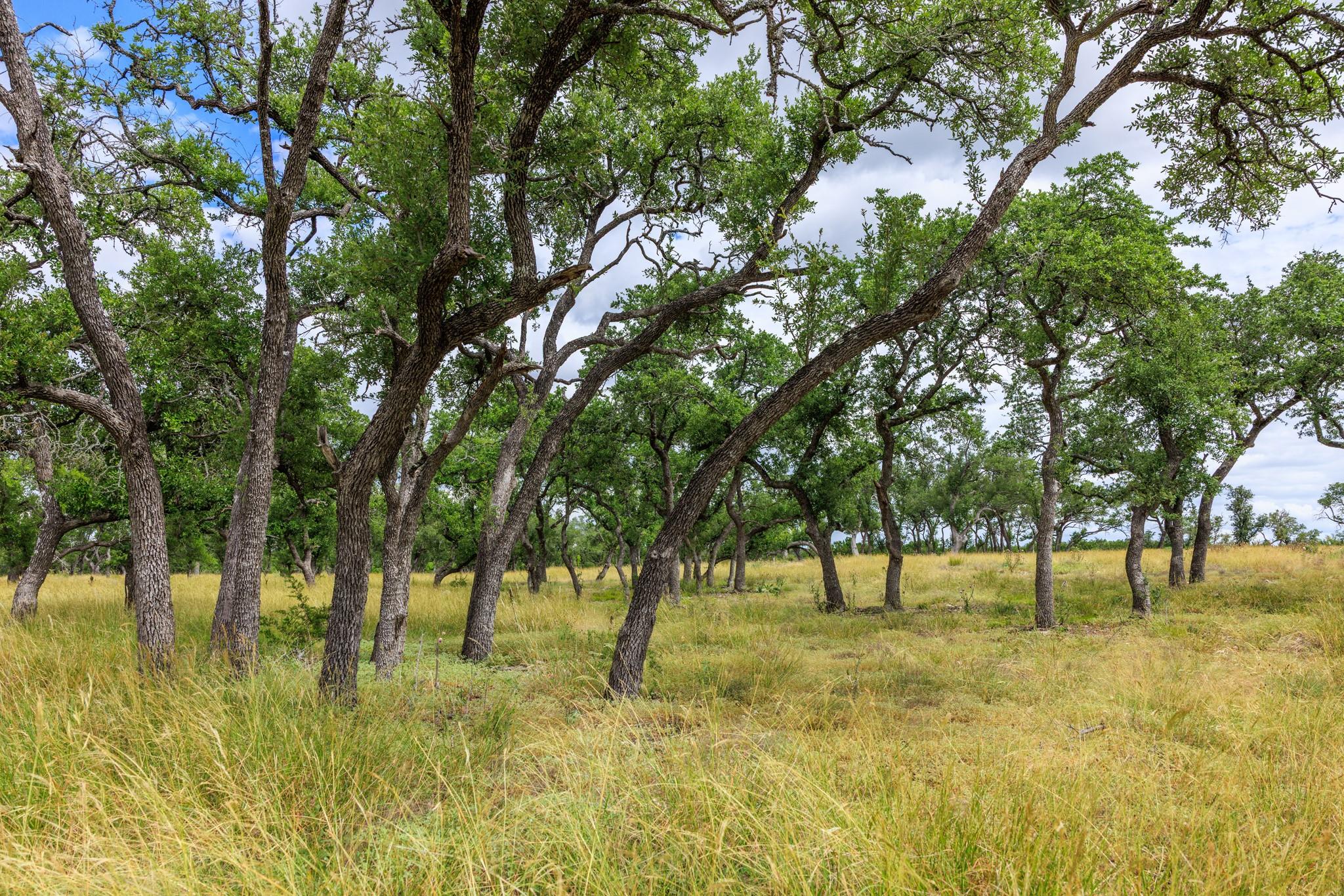 0 Friedrich Rd, Fredericksburg, TX 78624