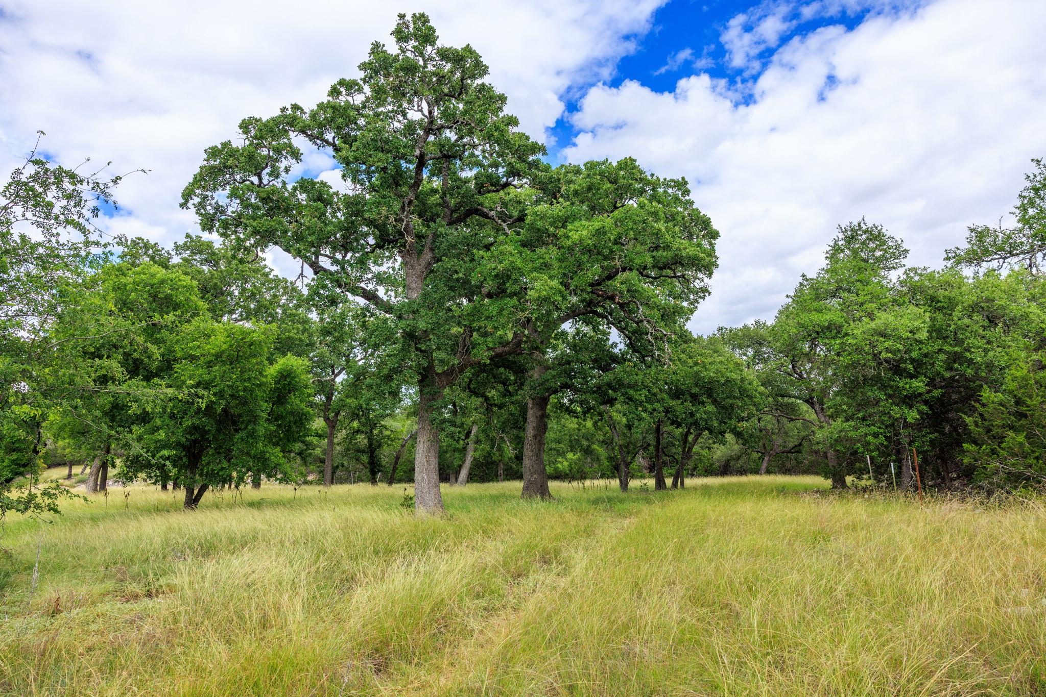 0 Friedrich Rd, Fredericksburg, TX 78624