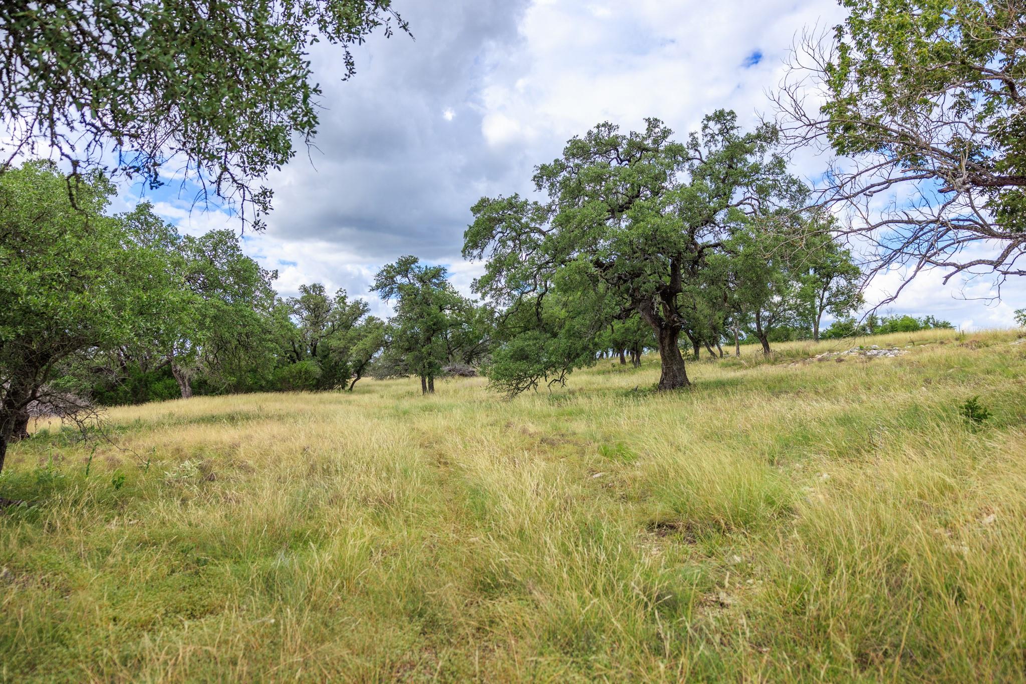 0 Friedrich Rd, Fredericksburg, TX 78624