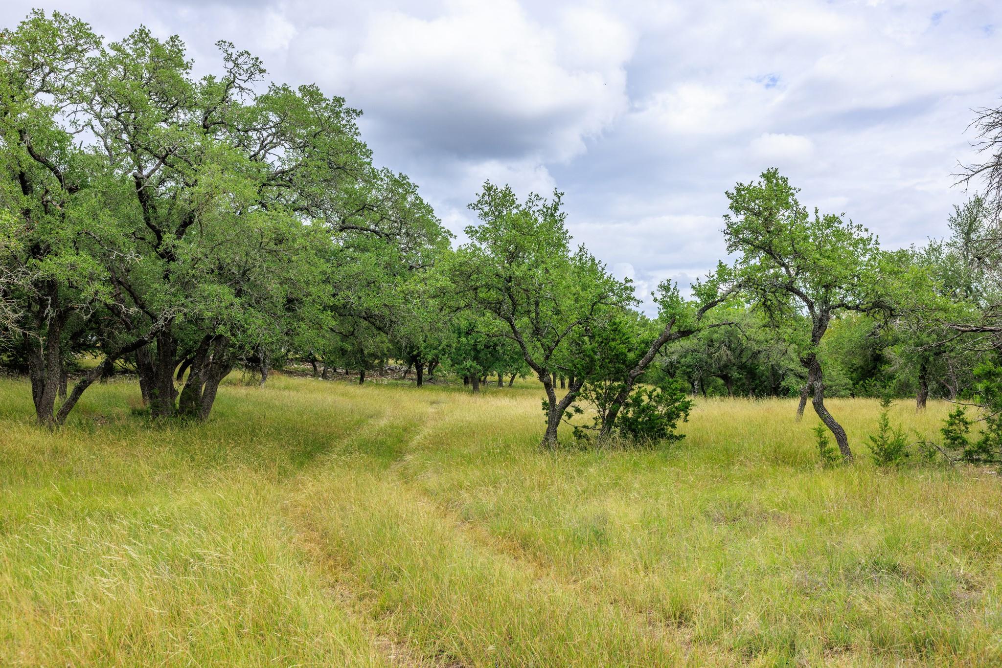 0 Friedrich Rd, Fredericksburg, TX 78624