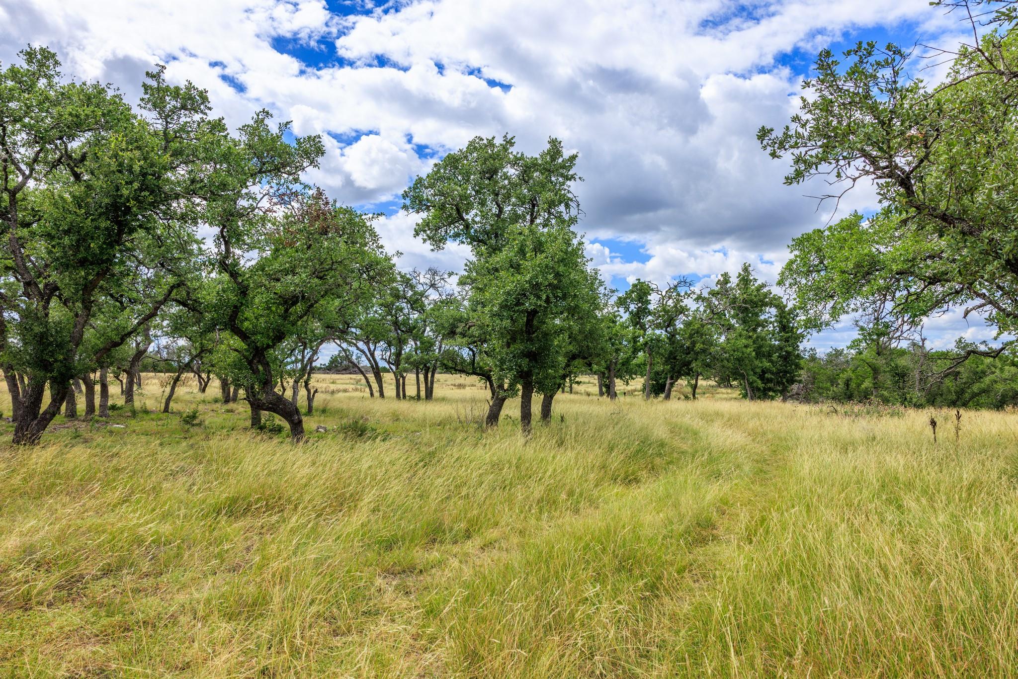 0 Friedrich Rd, Fredericksburg, TX 78624