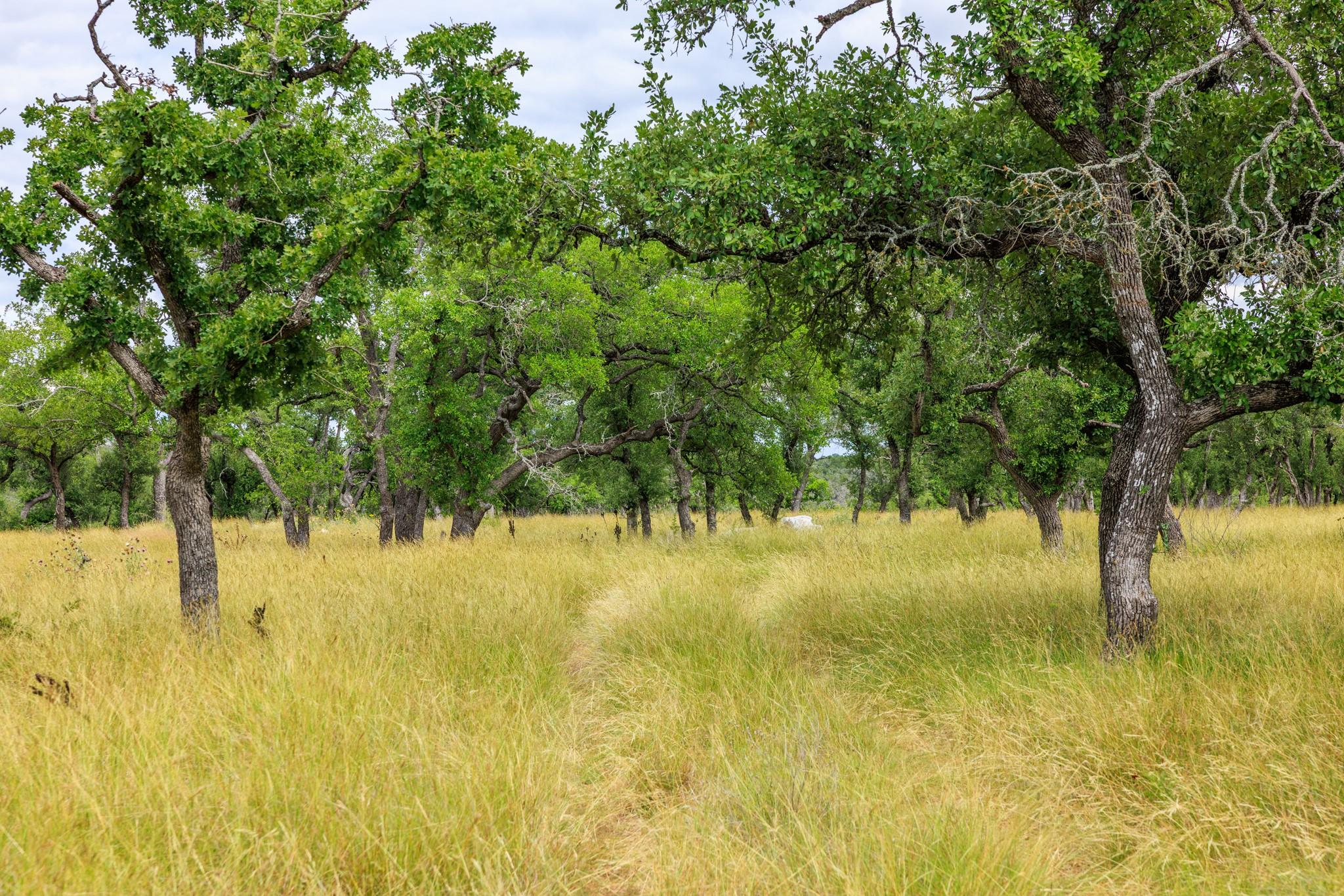 0 Friedrich Rd, Fredericksburg, TX 78624