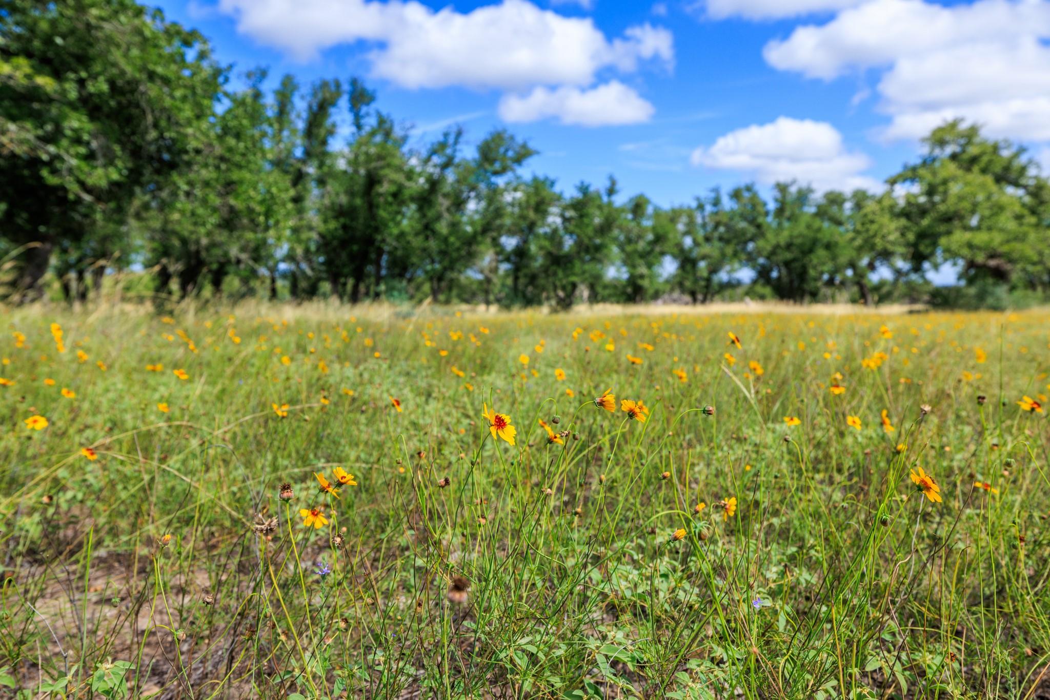 Lot 94 Stock Pond Dr, Fredericksburg, TX 78631