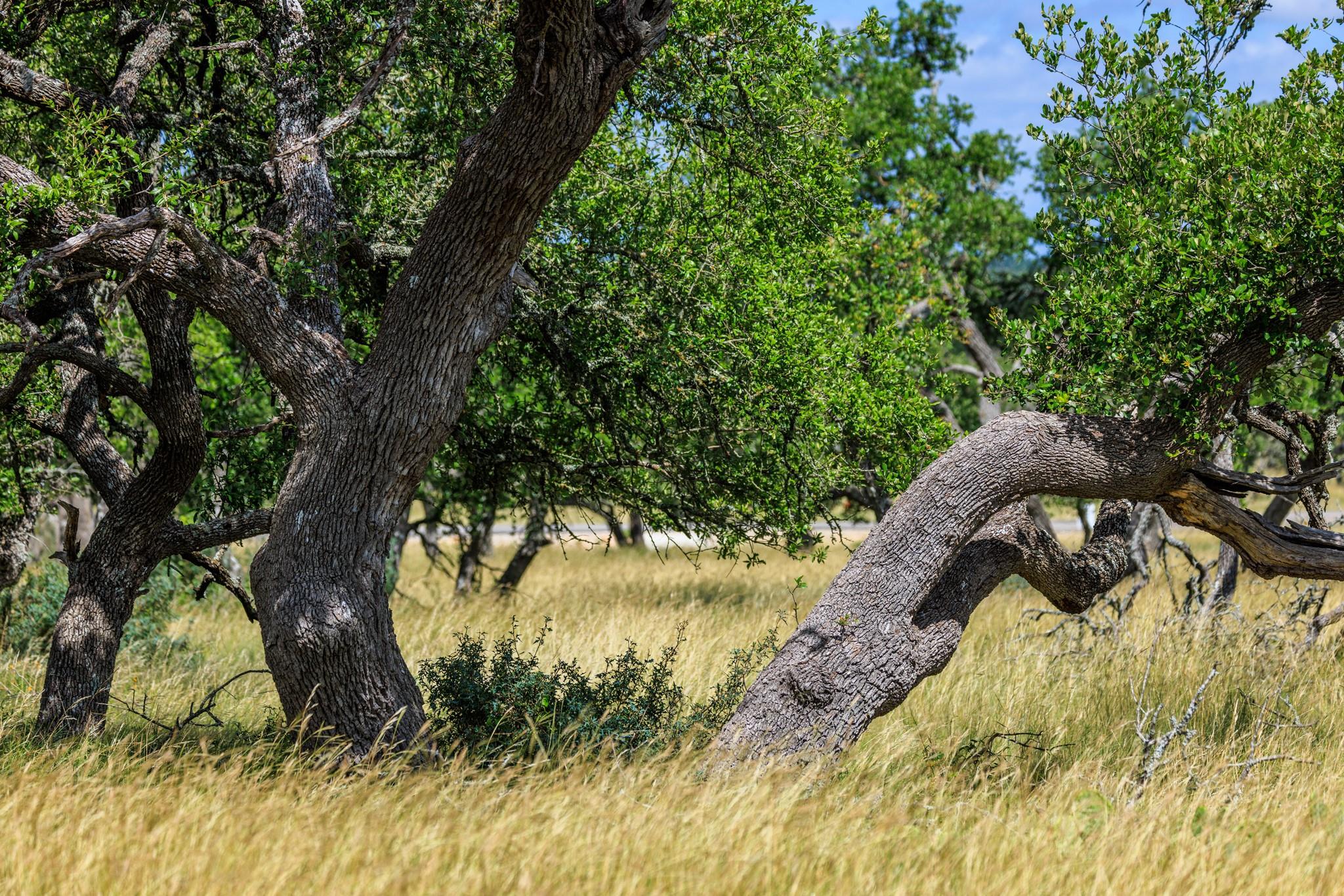 Lot 94 Stock Pond Dr, Fredericksburg, TX 78631