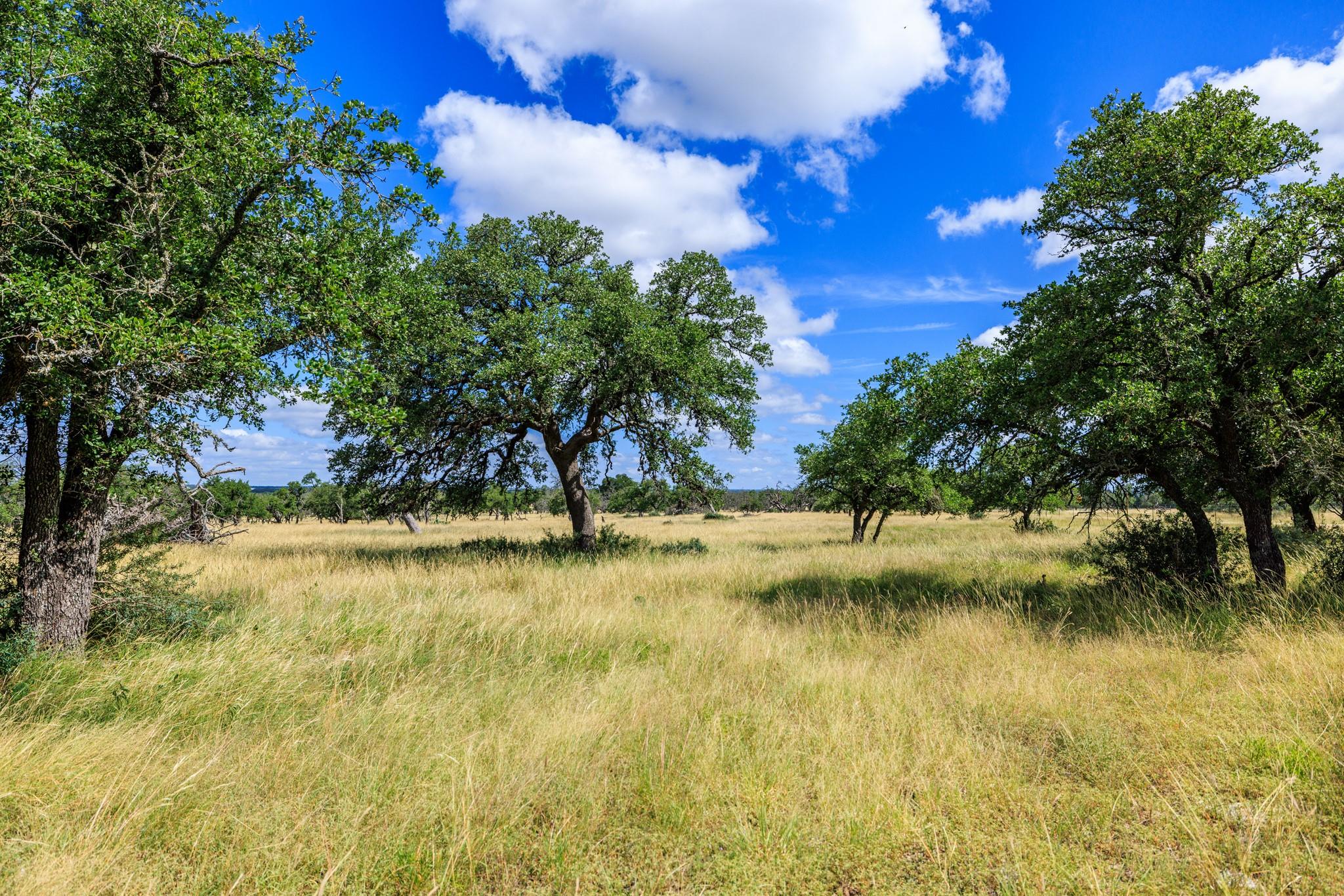 Lot 94 Stock Pond Dr, Fredericksburg, TX 78631