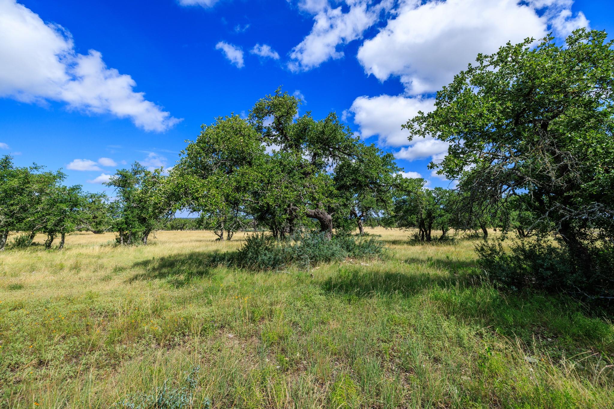 Lot 94 Stock Pond Dr, Fredericksburg, TX 78631