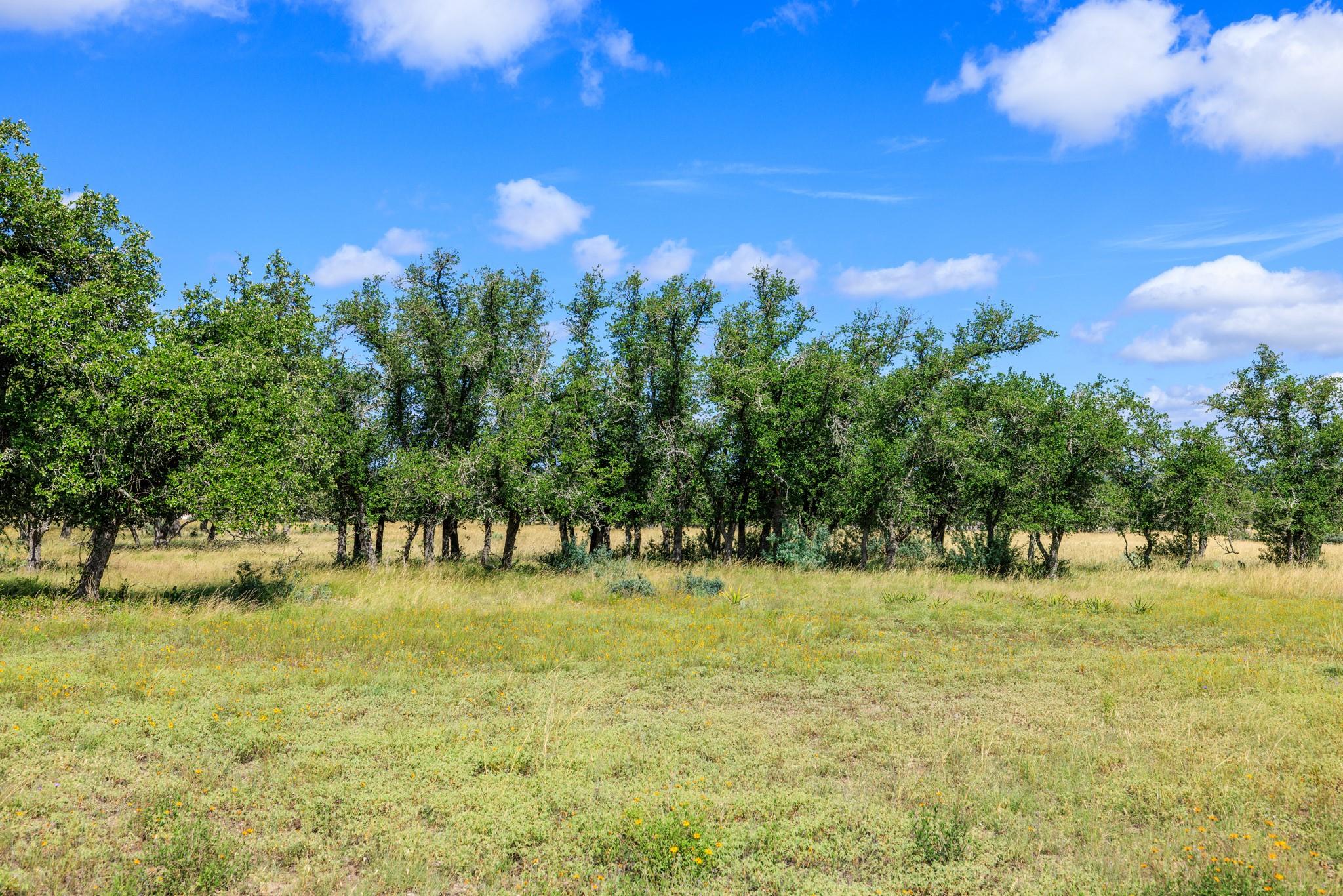 Lot 94 Stock Pond Dr, Fredericksburg, TX 78631