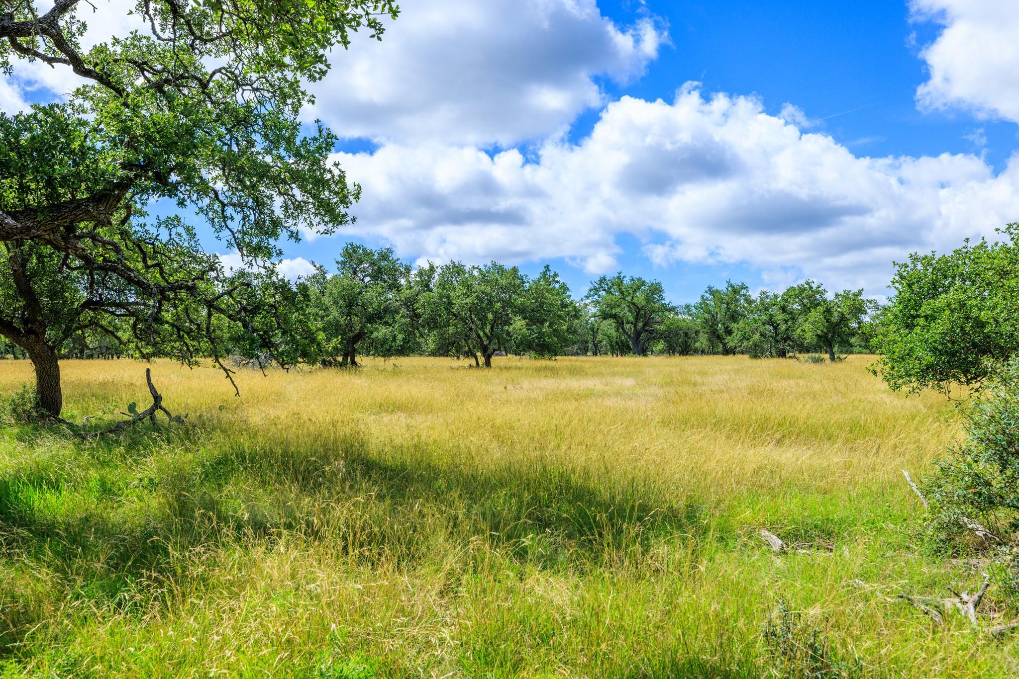 Lot 94 Stock Pond Dr, Fredericksburg, TX 78631