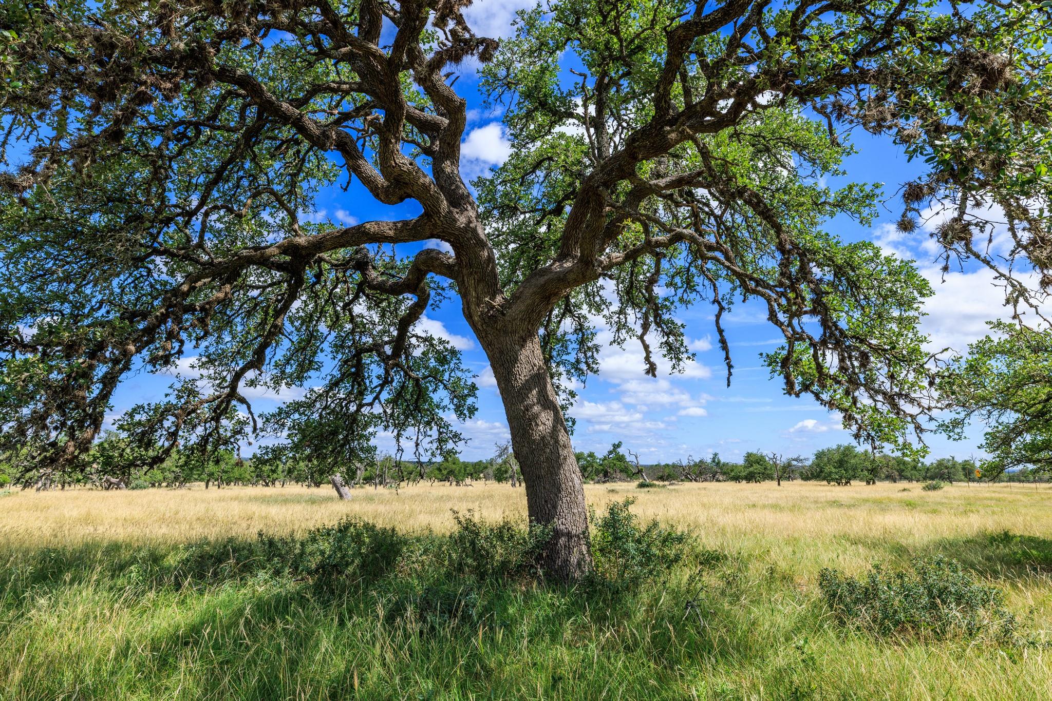 Lot 94 Stock Pond Dr, Fredericksburg, TX 78631