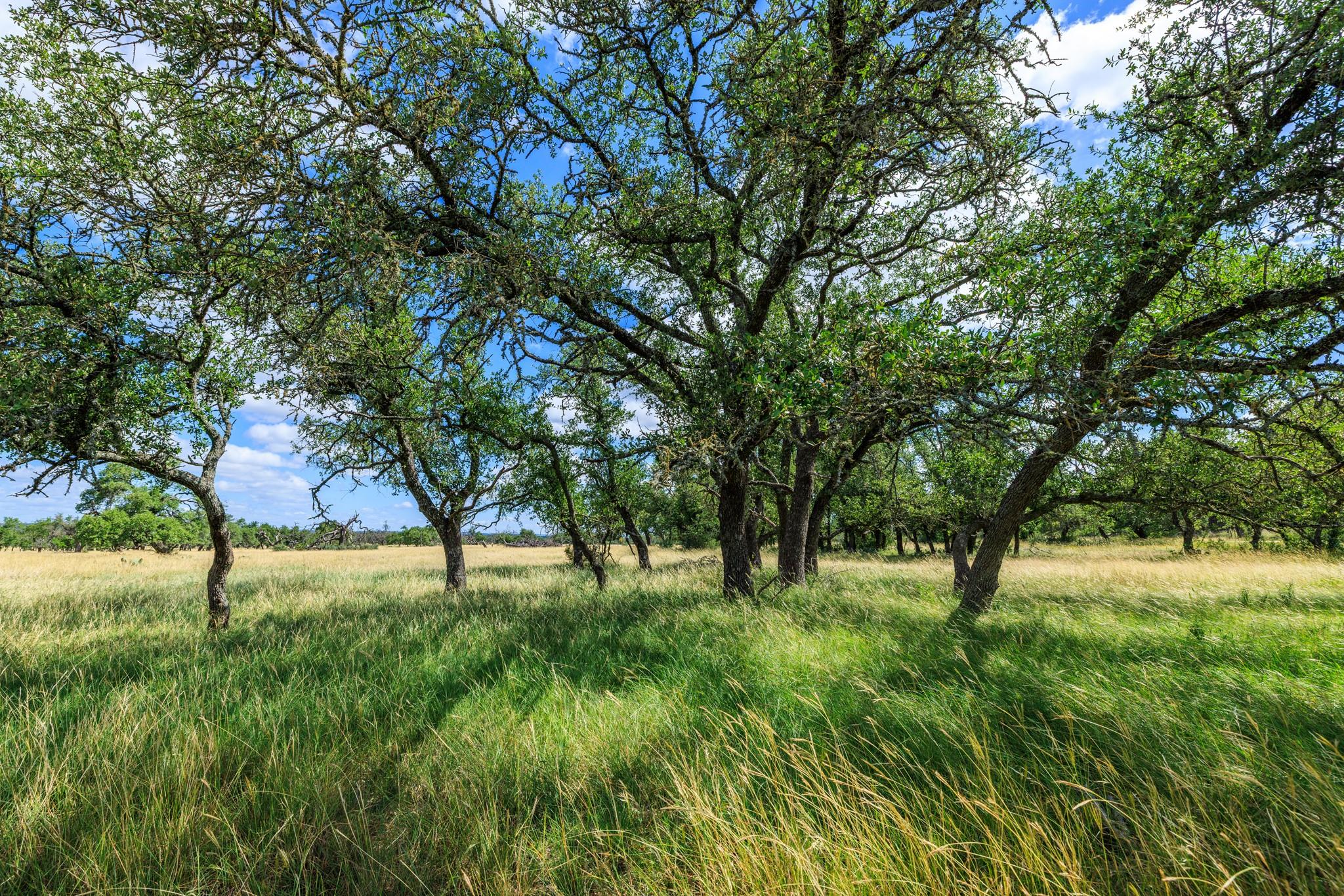 Lot 94 Stock Pond Dr, Fredericksburg, TX 78631
