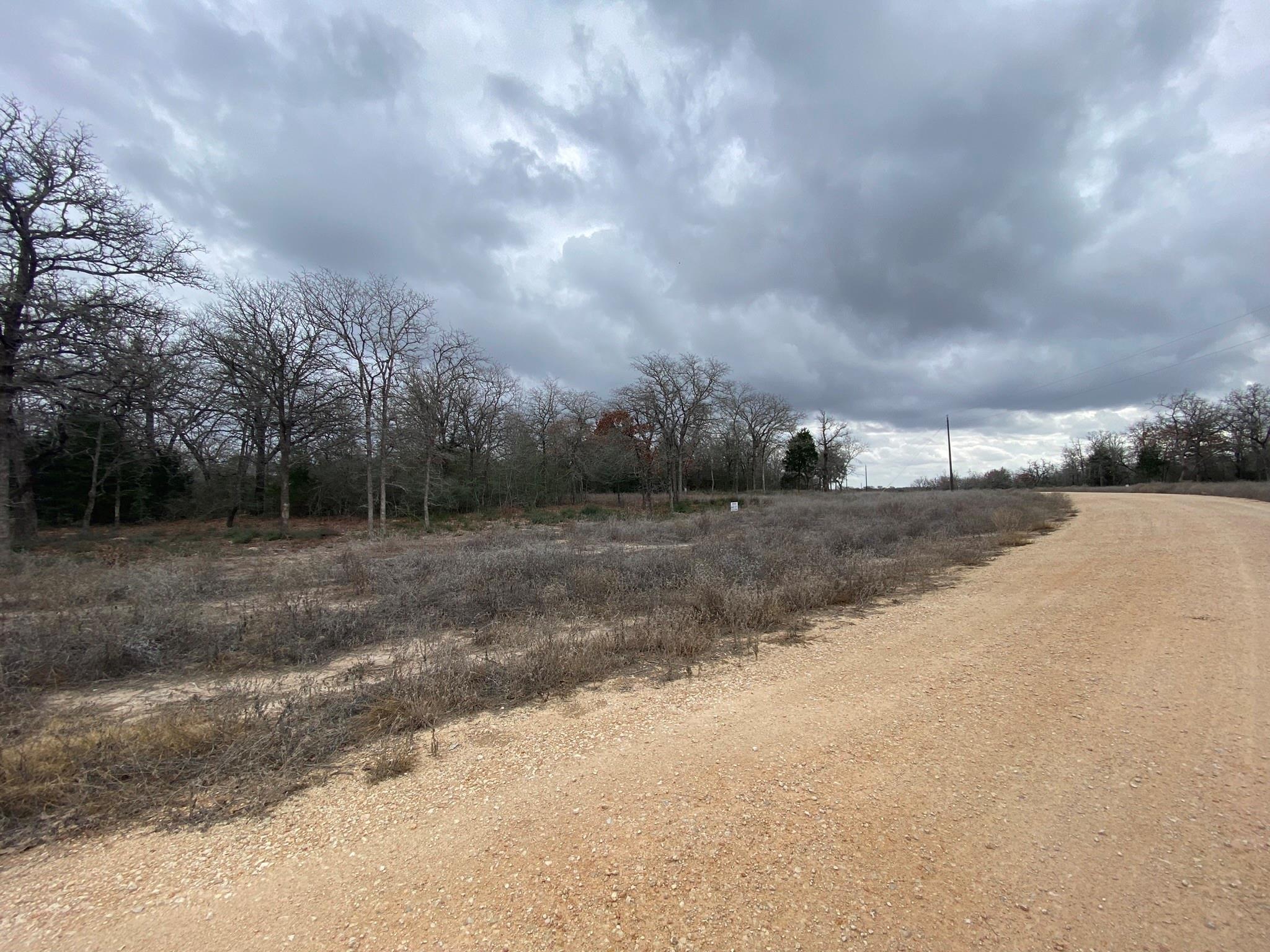 1215 Walleye Creek Trl, Lexington, TX 78947