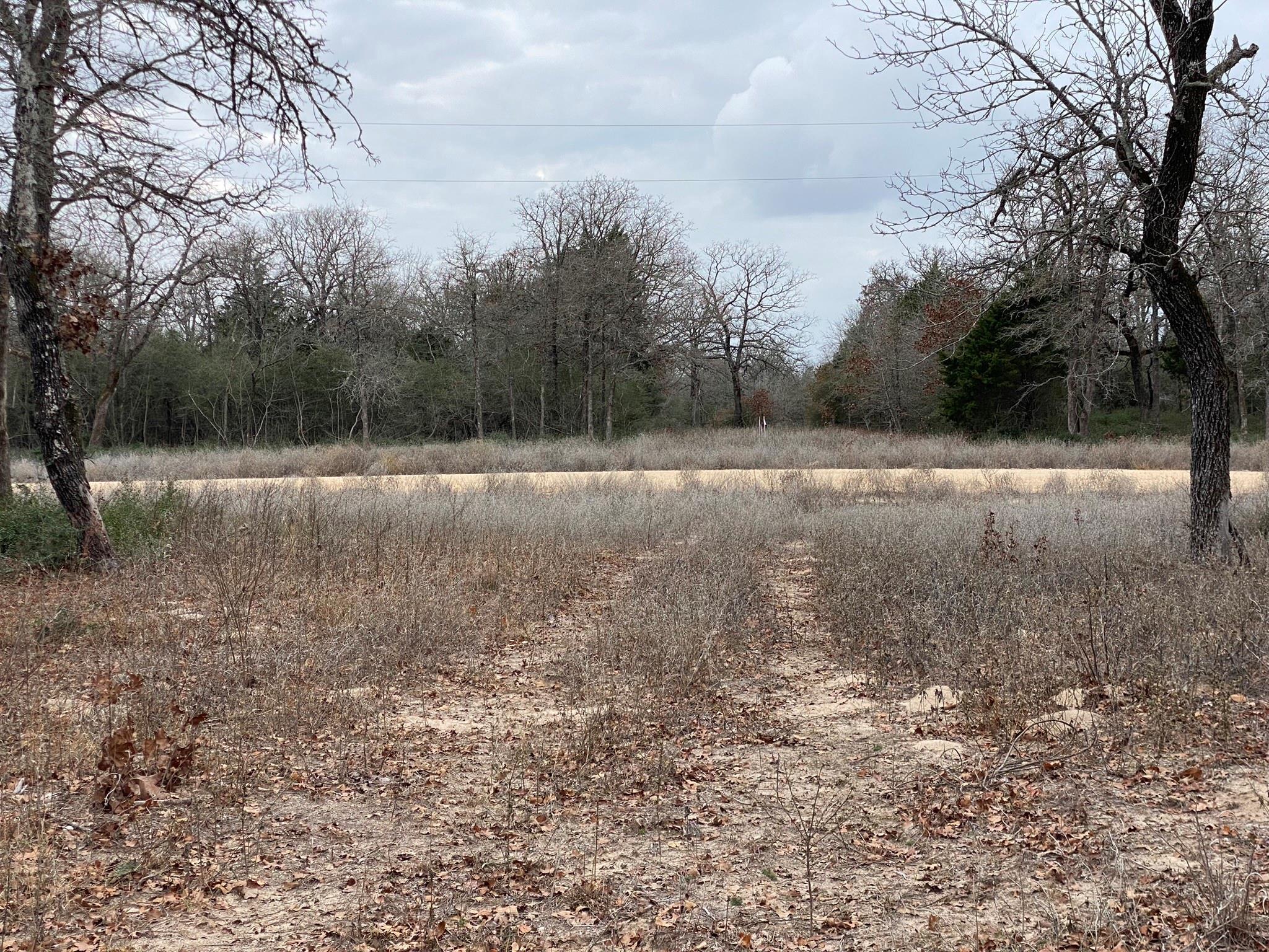 1215 Walleye Creek Trl, Lexington, TX 78947