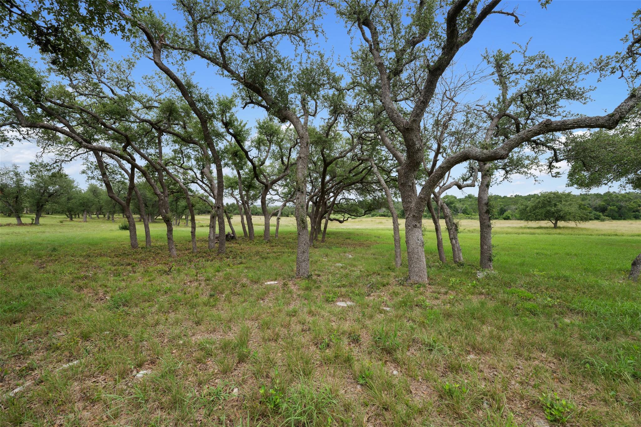 18601 Madrone Vista Dr, Austin, TX 78738