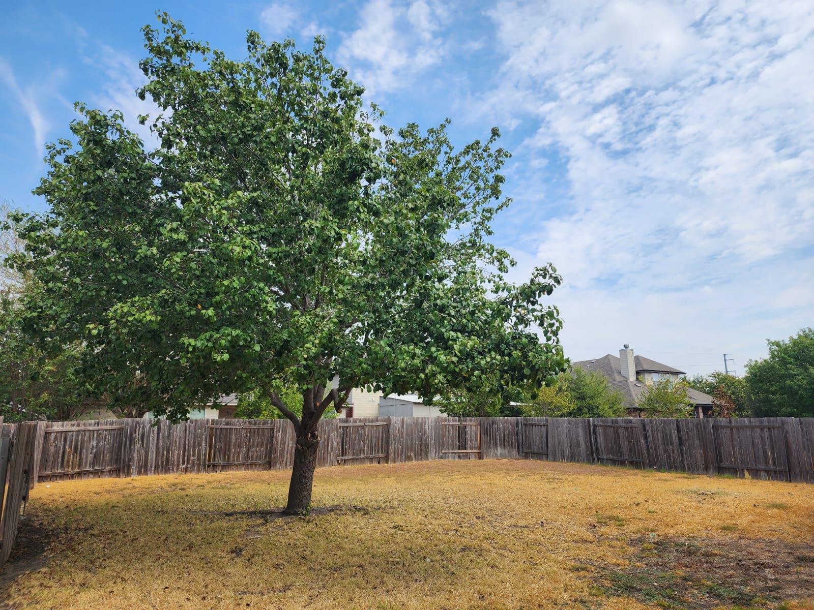 13613 Glenmark Dr, Manor, TX 78653