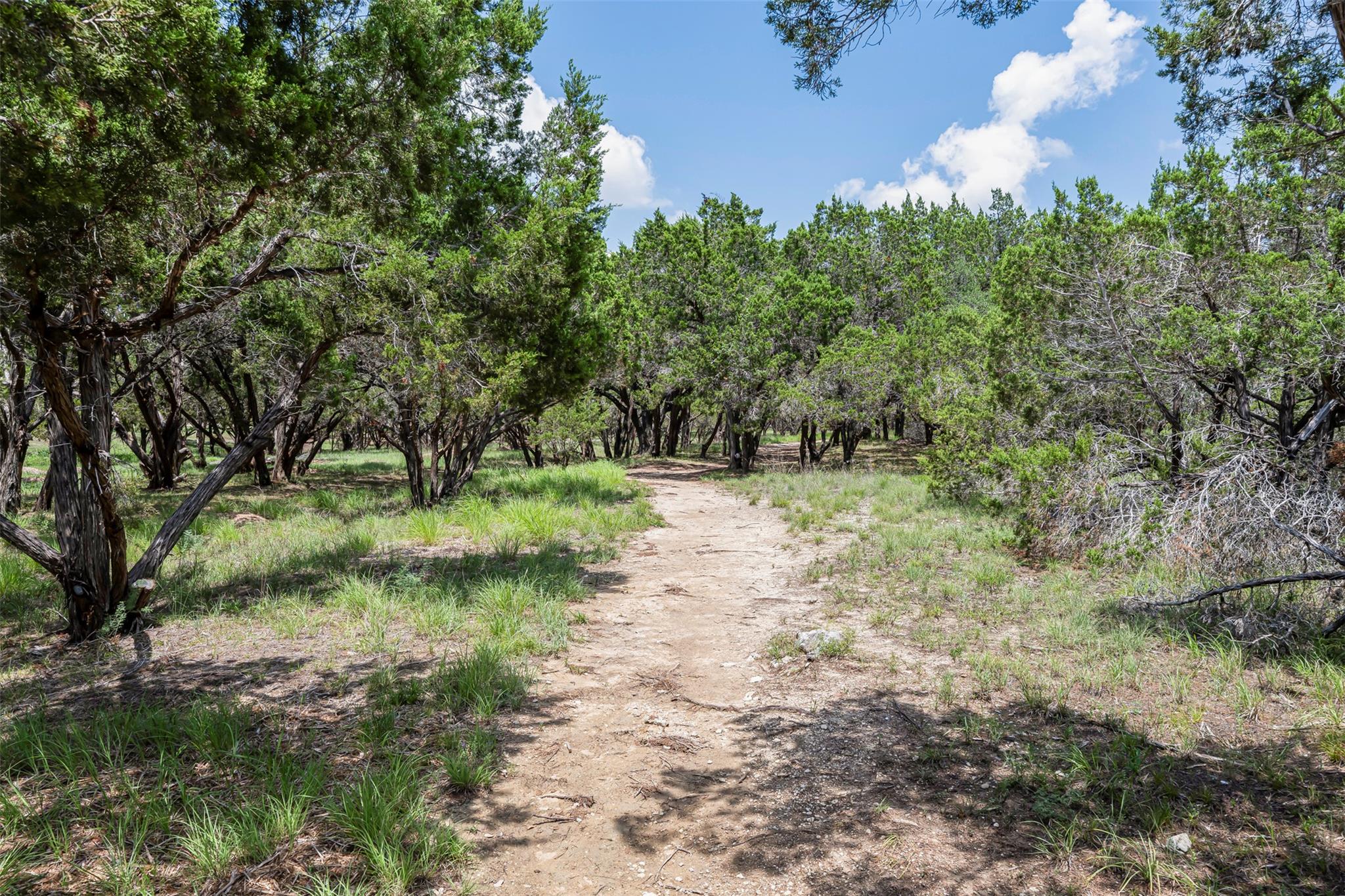 211 E Creek Dr, Dripping Springs, TX 78620