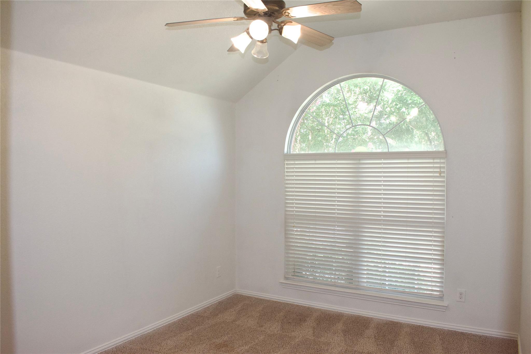 1001 Emory Fields Cv, Hutto, TX 78634