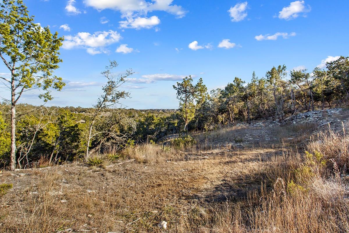 411 Whitetail Ridge Rd, Dripping Springs, TX 78620