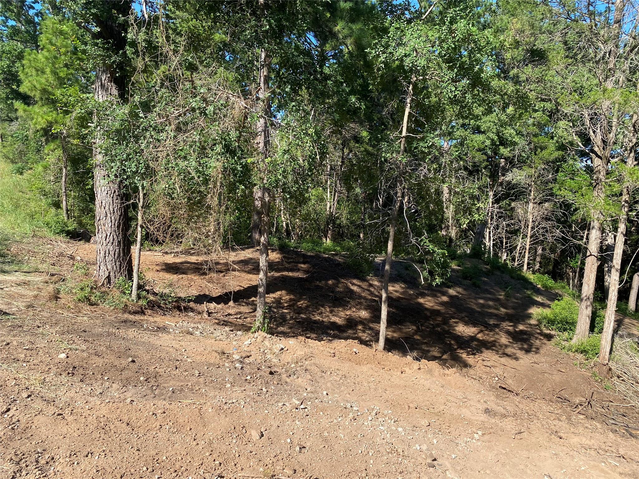 135 Heleakala Dr, Bastrop, TX 78602