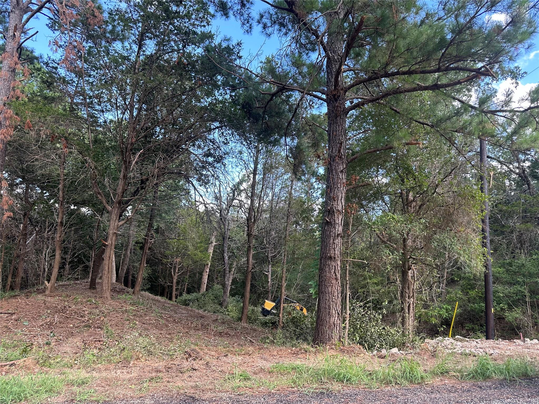 135 Heleakala Dr, Bastrop, TX 78602