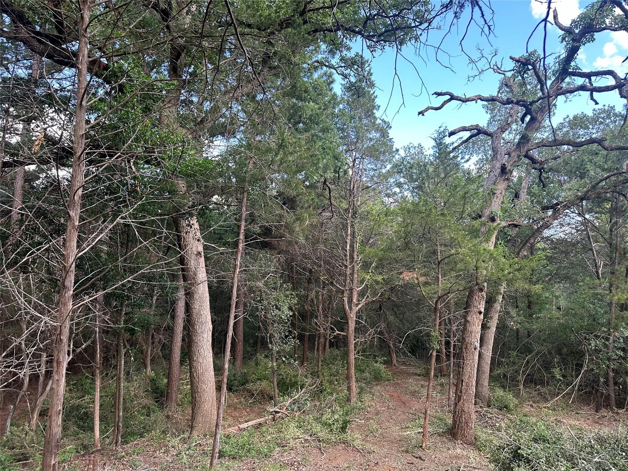 135 Heleakala Dr, Bastrop, TX 78602