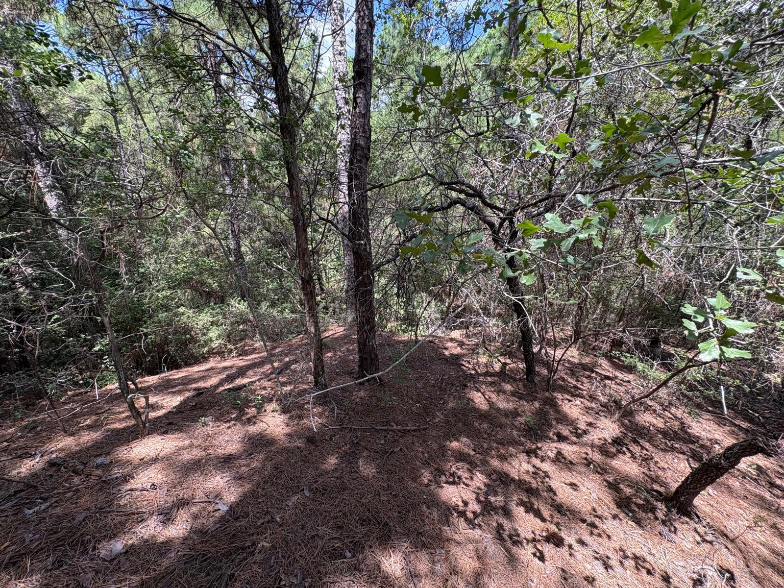 120 Molokini Dr, Bastrop, TX 78602