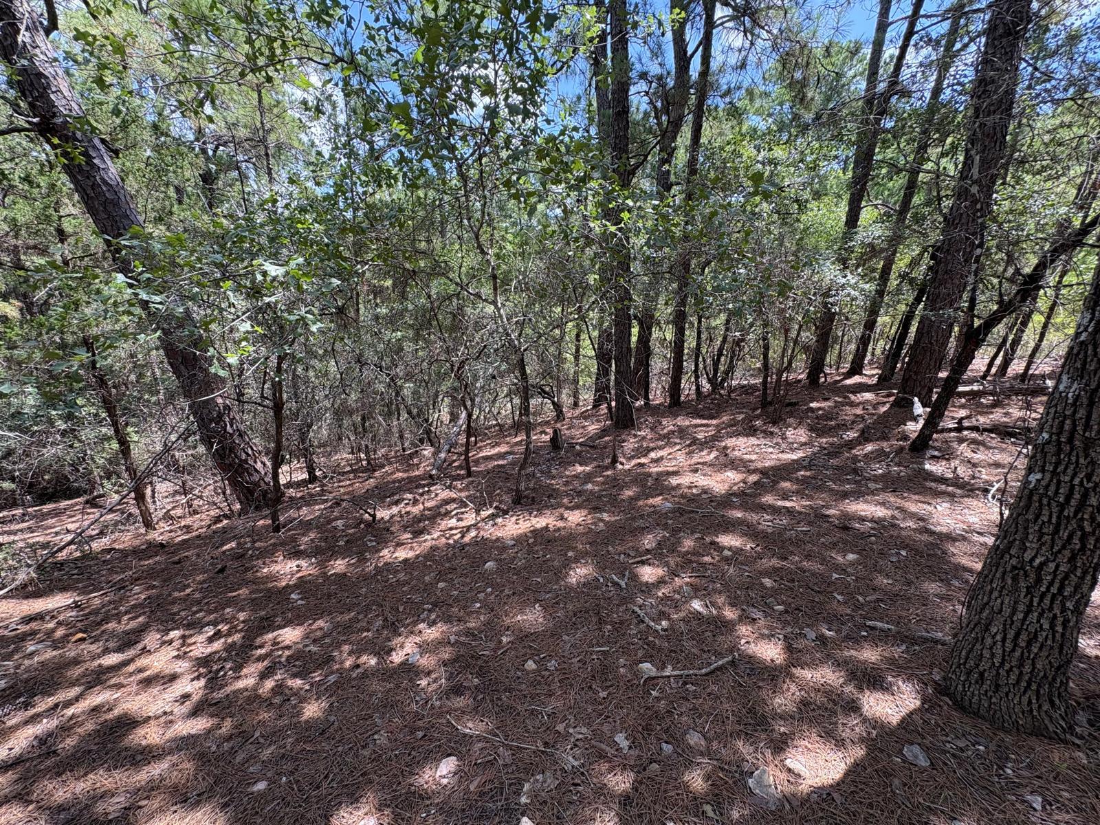 120 Molokini Dr, Bastrop, TX 78602