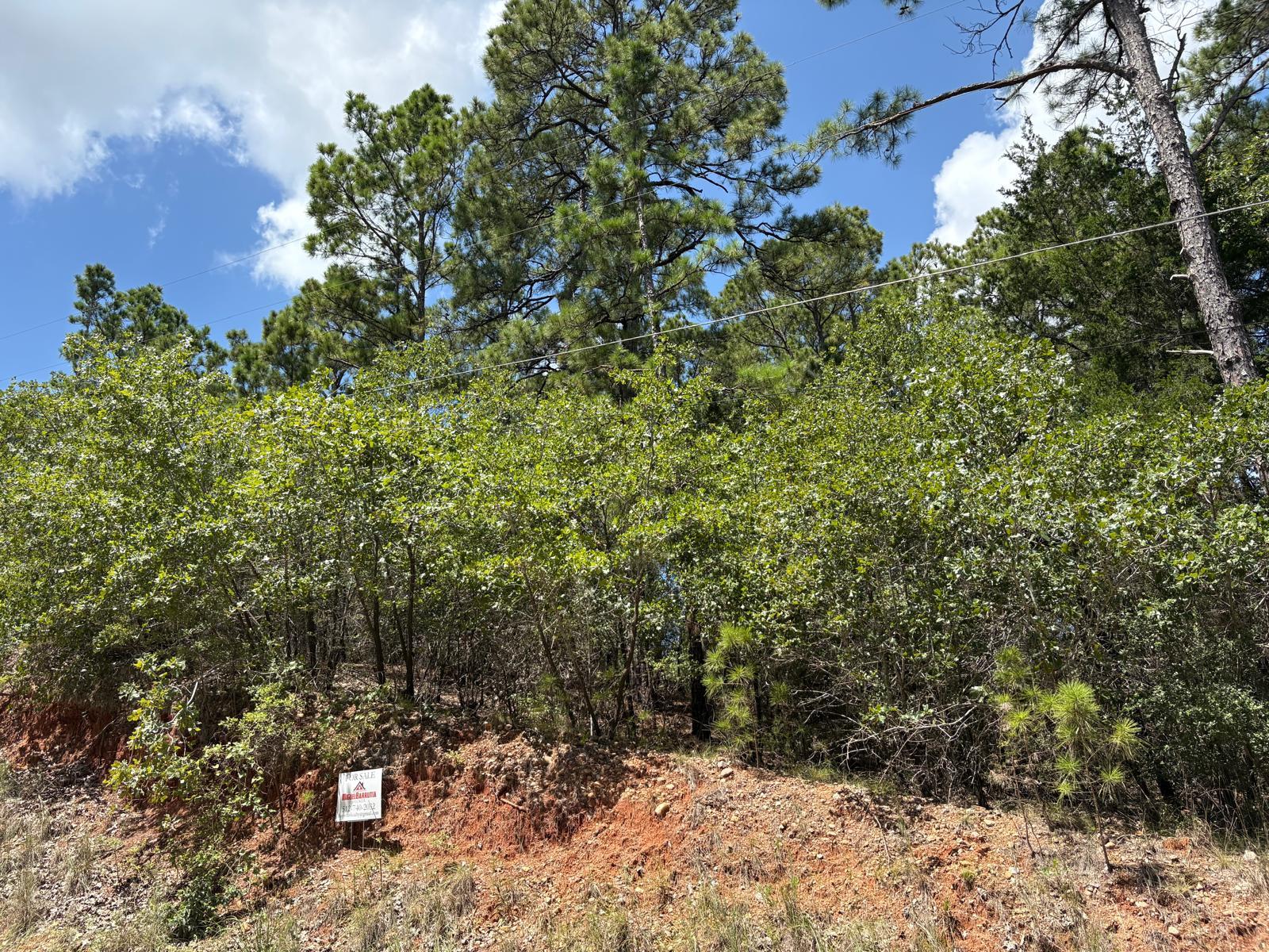 120 Molokini Dr, Bastrop, TX 78602