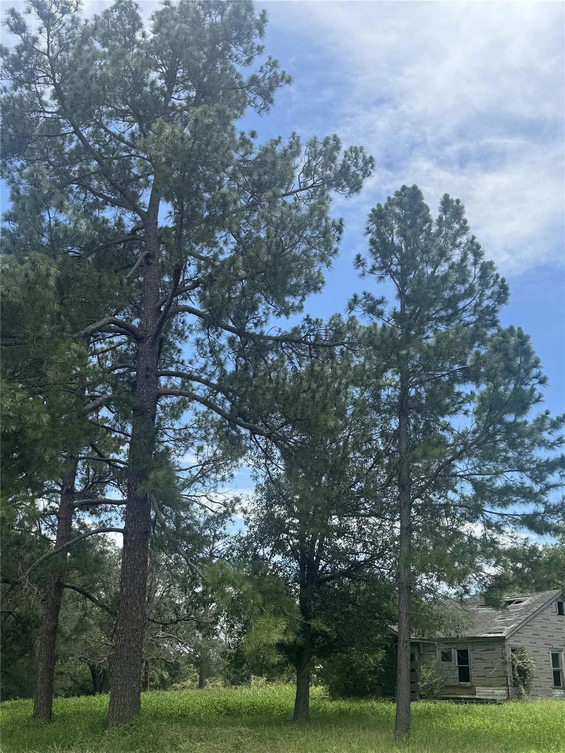 9400 Stockdale Highway, Seguin, TX 78155