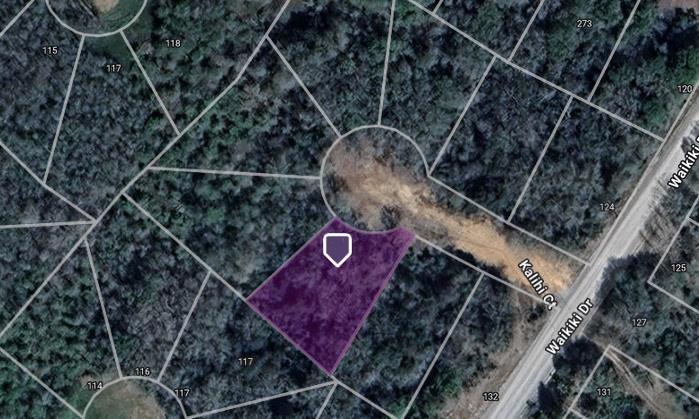 107 Kalihi Ct, Bastrop, TX 78602