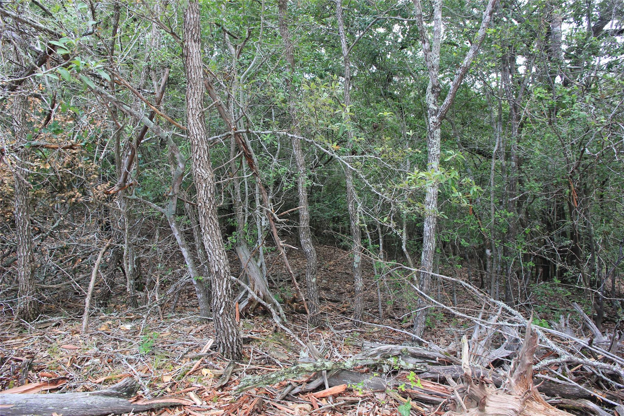 107 Kalihi Ct, Bastrop, TX 78602