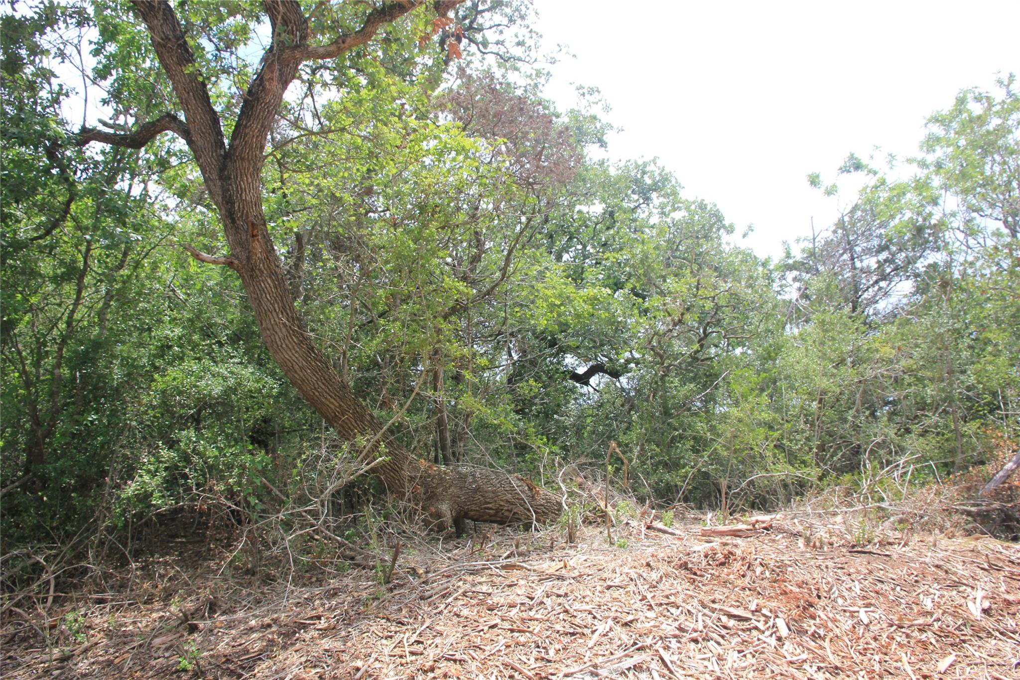 107 Kalihi Ct, Bastrop, TX 78602