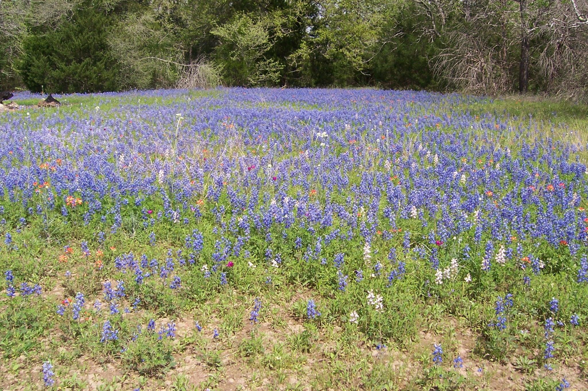 1546 W State Highway 71, West Point, TX 78963