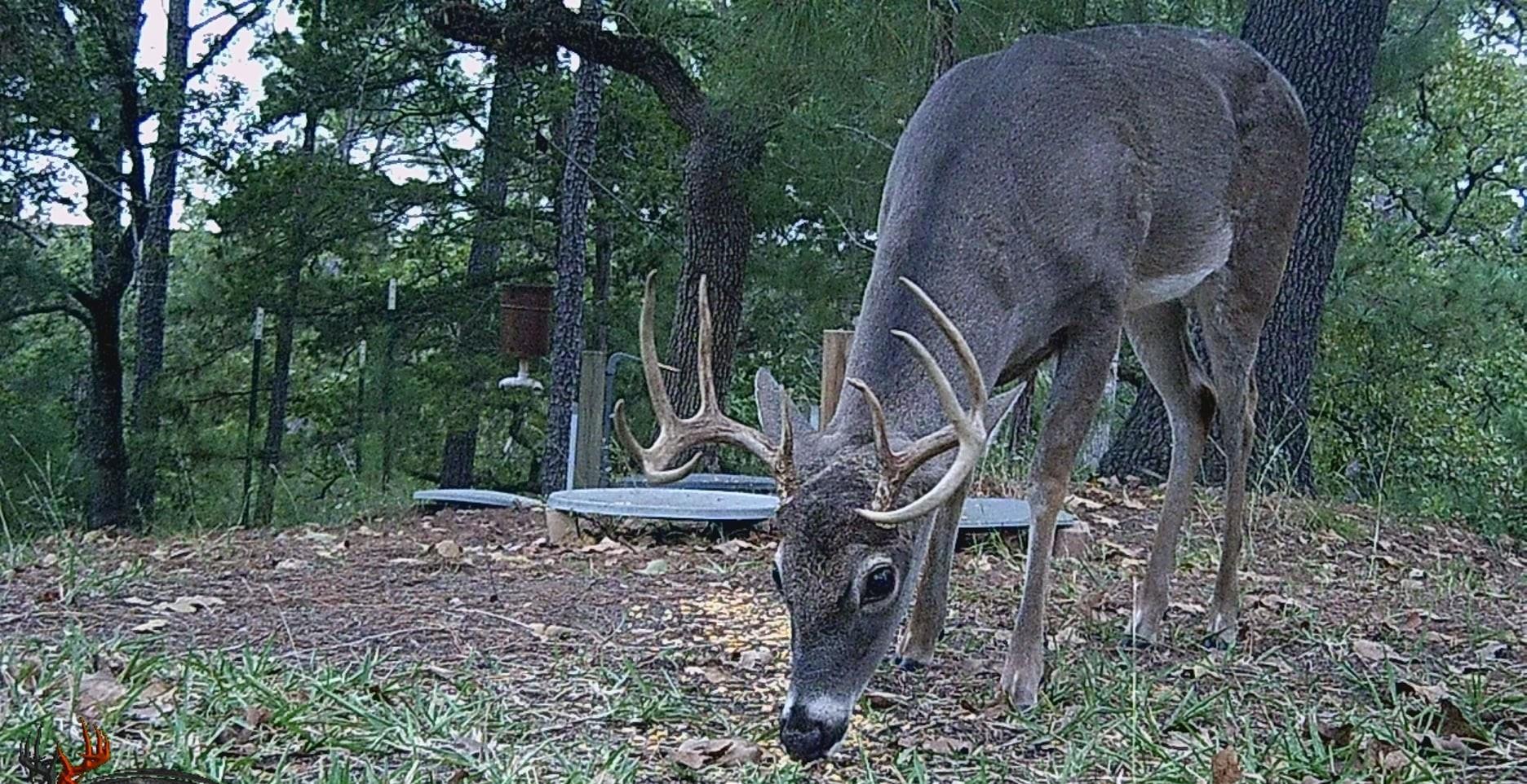 1546 W State Highway 71, West Point, TX 78963