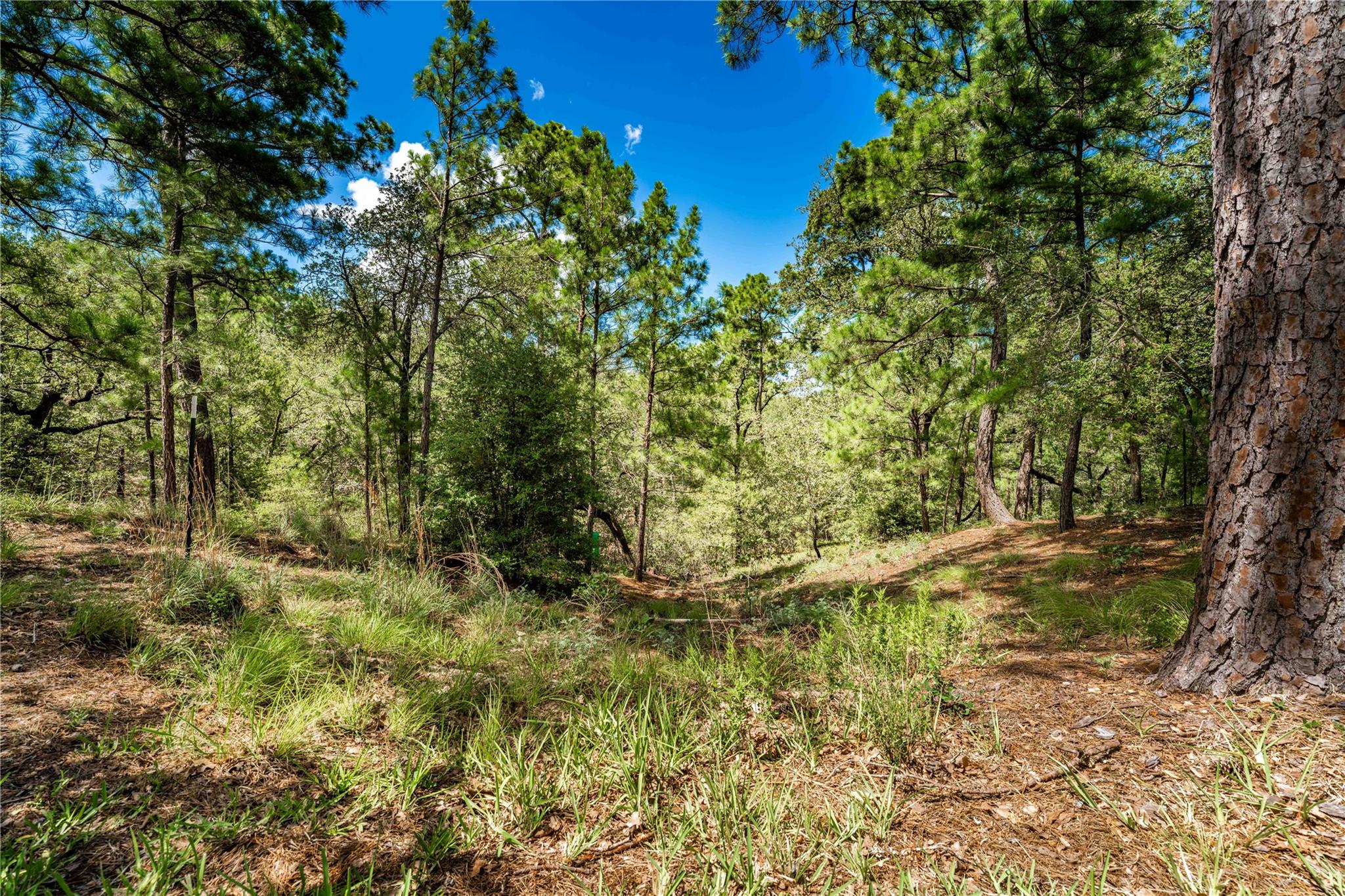 1546 W State Highway 71, West Point, TX 78963