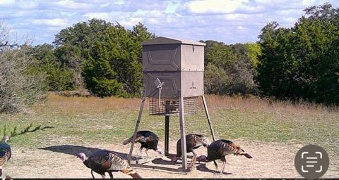 20440 Brooking Rd, Killeen, TX 76542