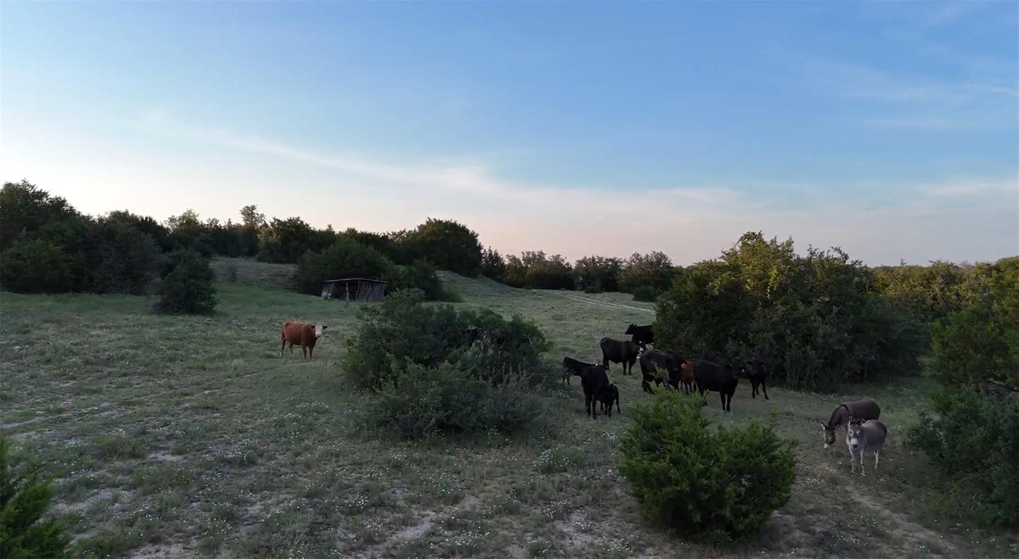 20440 Brooking Rd, Killeen, TX 76542