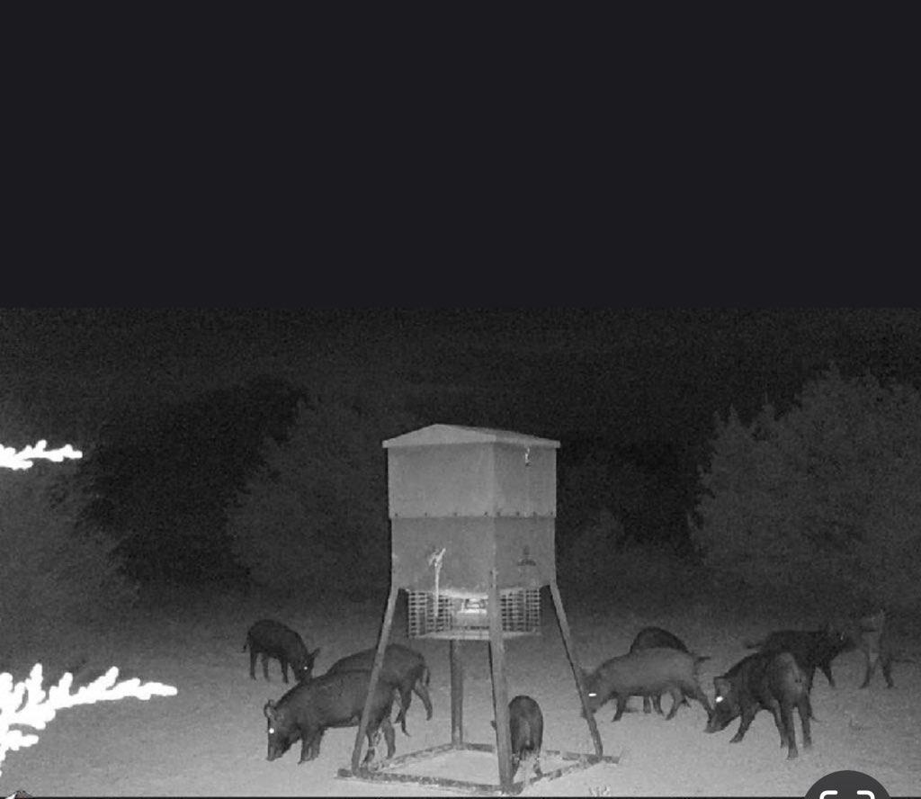 20440 Brooking Rd, Killeen, TX 76542