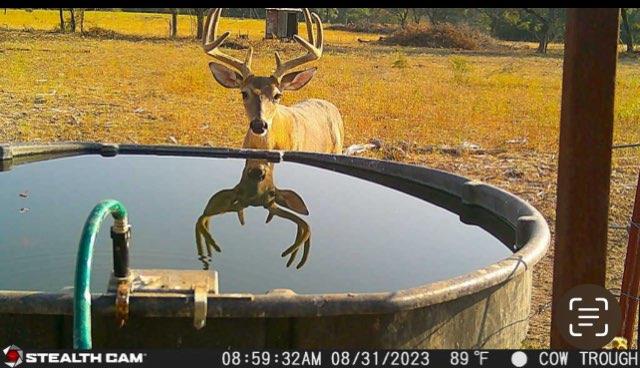 20440 Brooking Rd, Killeen, TX 76542