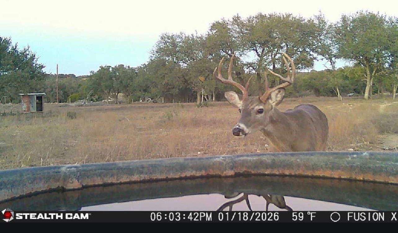 20440 Brooking Rd, Killeen, TX 76542