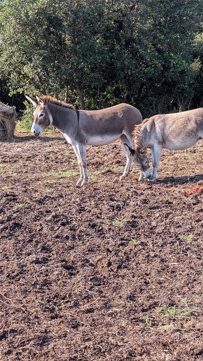 20440 Brooking Rd, Killeen, TX 76542