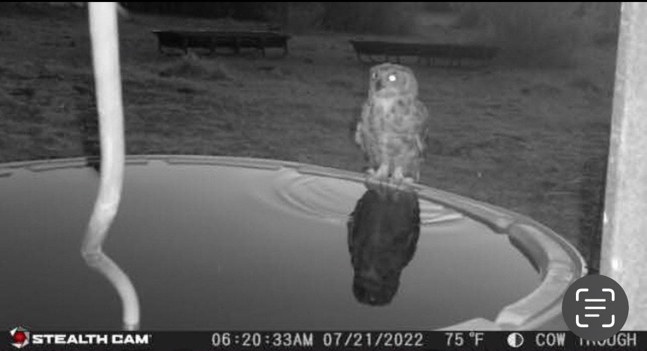 20440 Brooking Rd, Killeen, TX 76542